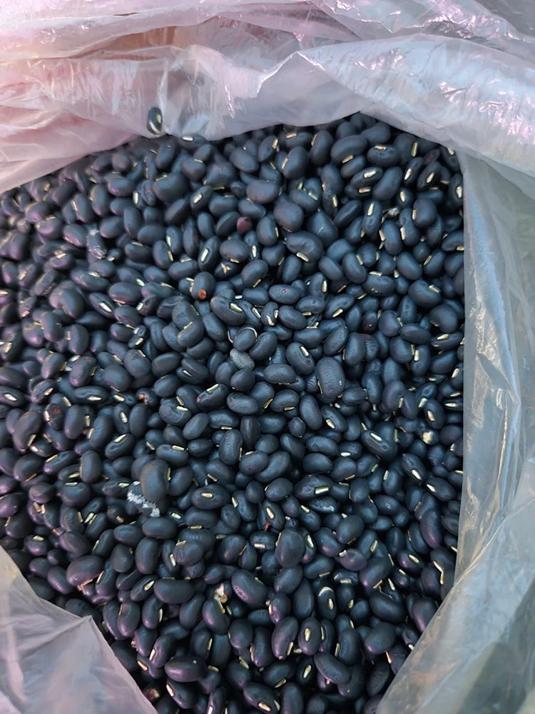 Black Cowpea