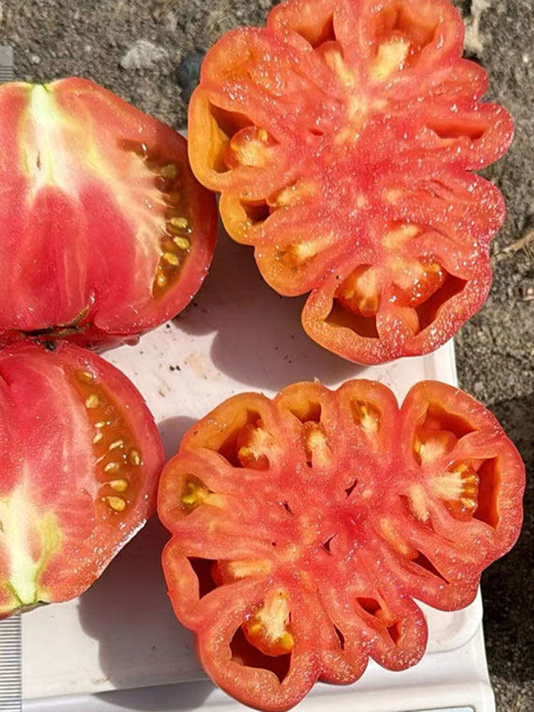 'Firenza' Ribbed Tomato