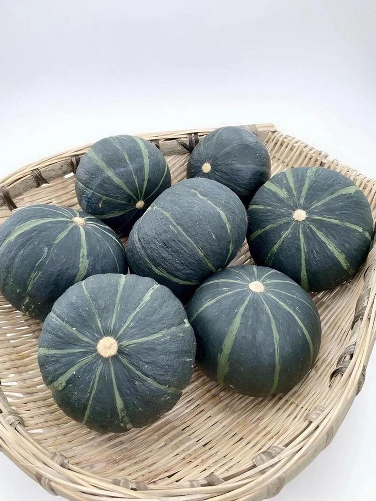 'Li Mei No. 1' Baby Pumpkin