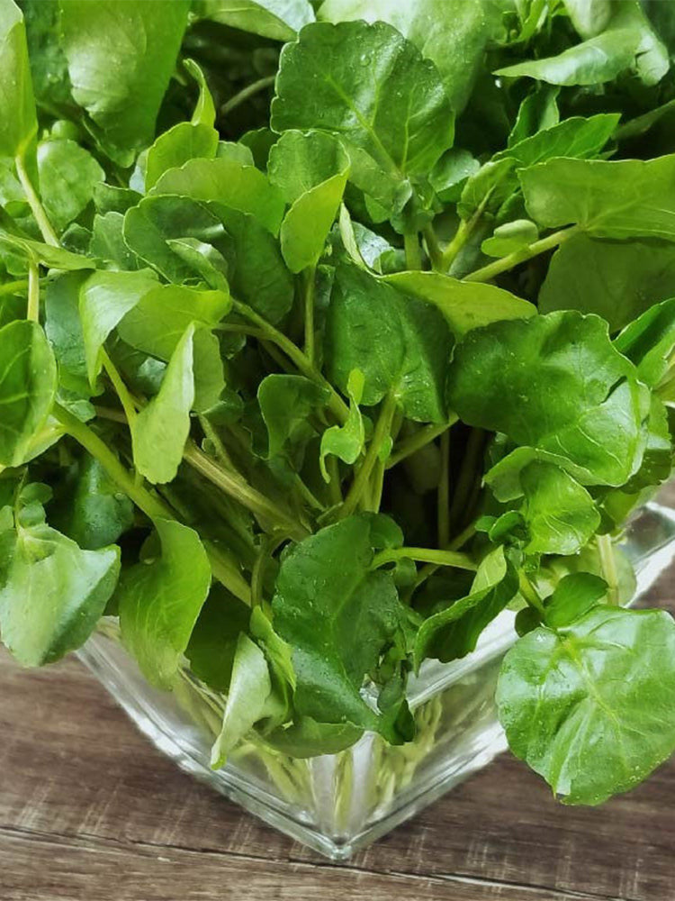 Watercress