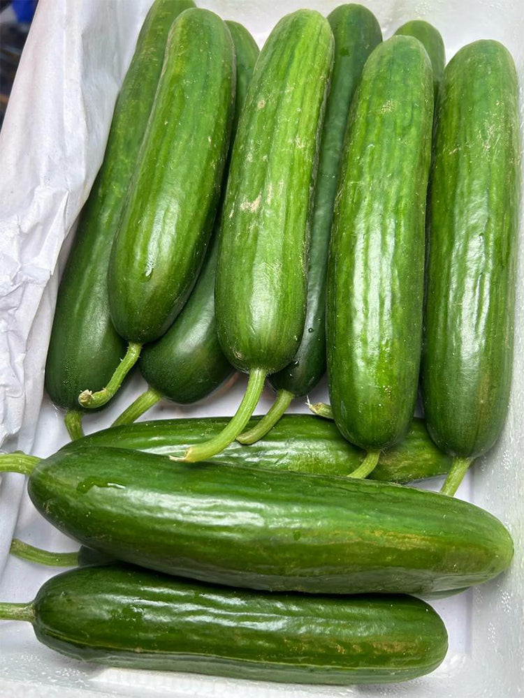 'Flavor Supreme' Fruit Cucumbers