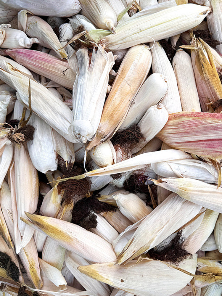 Glass Gem Corn