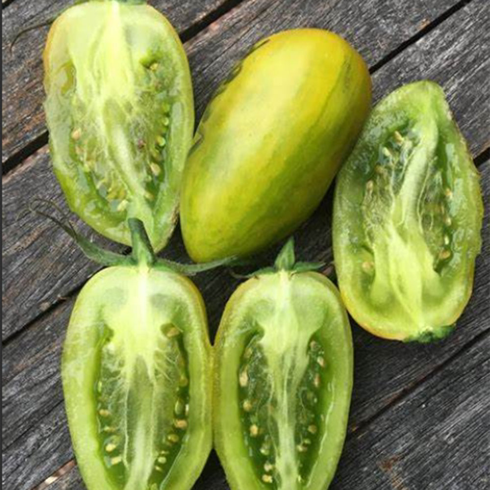 727 Green Fire Tomato