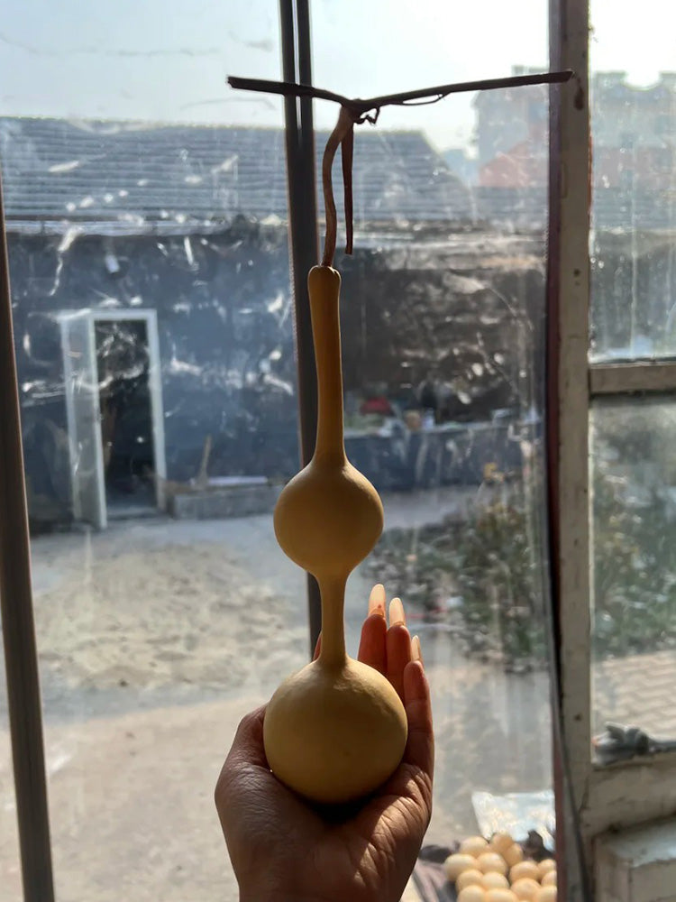 Xiaosan Ting Gourd