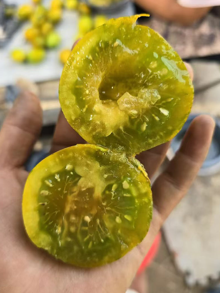 905 Dinosaur Egg Green Tomato
