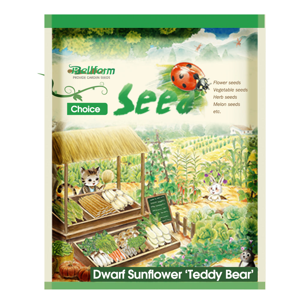 'Teddy Bear' Dwarf Sunflower Seeds (30cm)
