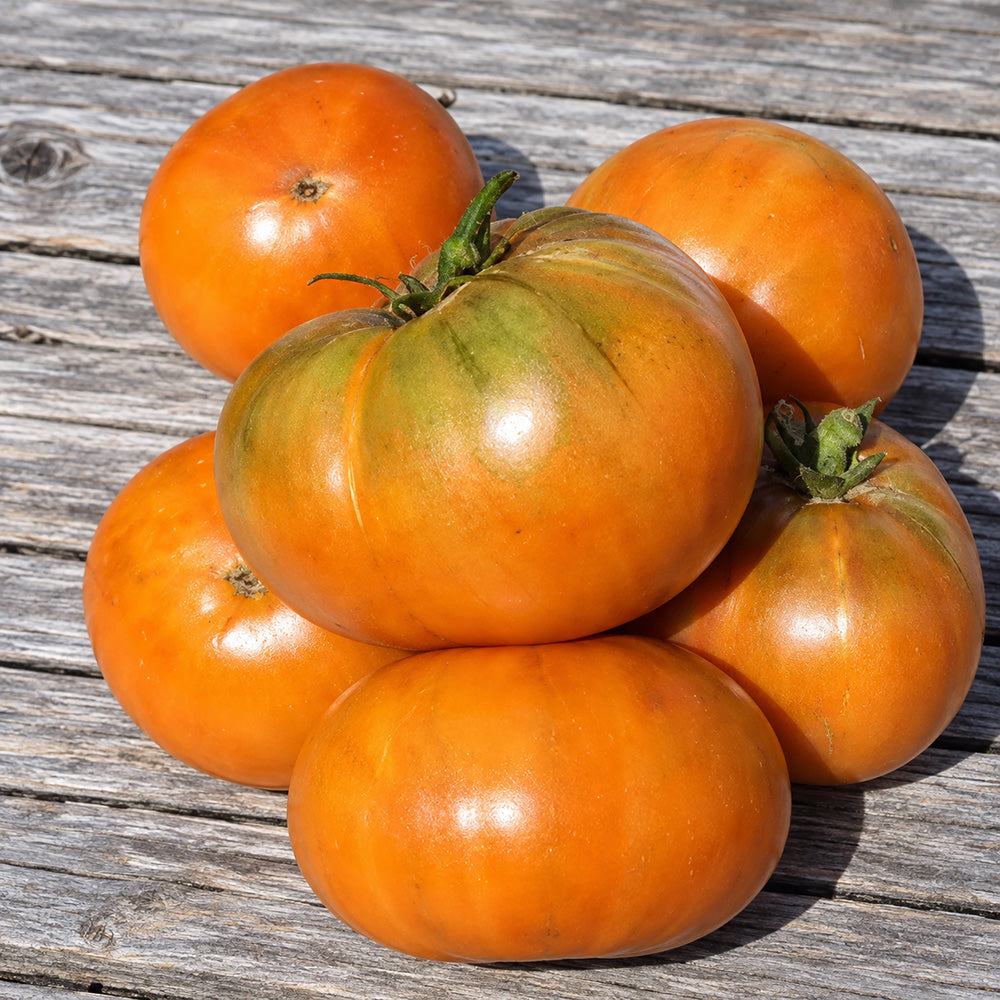 196 Kiwanis Tomato