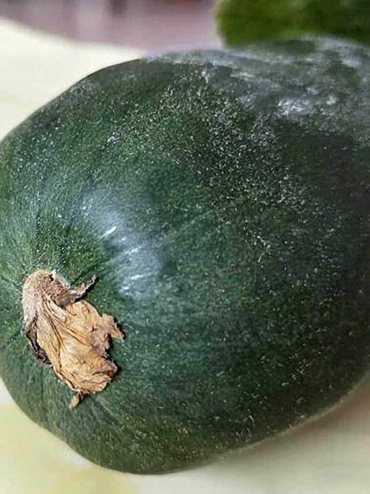 Little Darling Melon