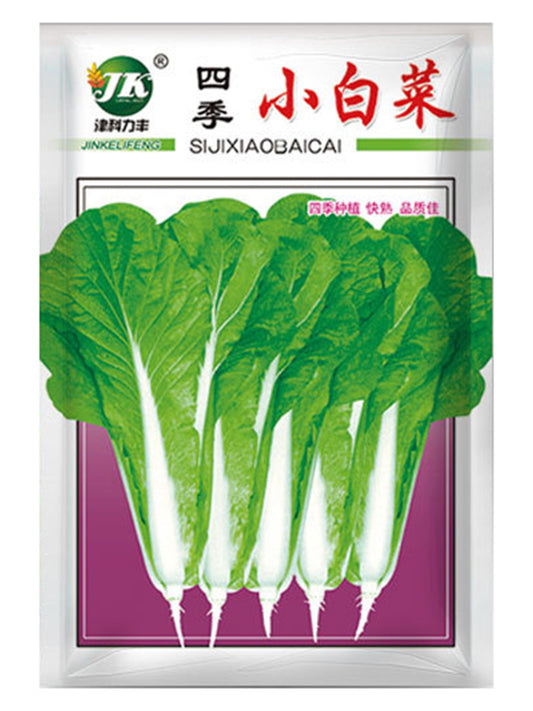 The Four Seasons of Chinese Cabbage