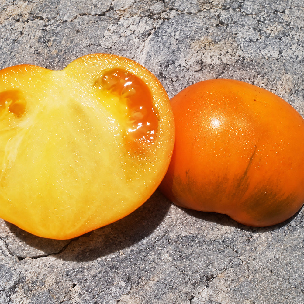 183 Allure Micro Dwarf Tomato