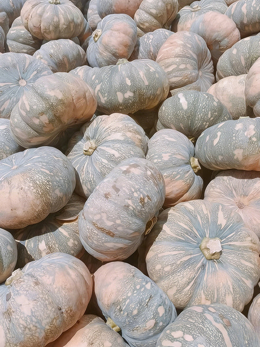 Sweet Dough Millstone Pumpkin