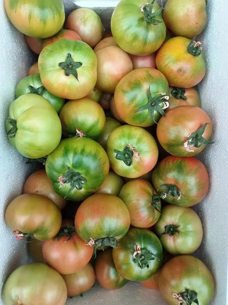 Sweet Heart Fruit Tomato