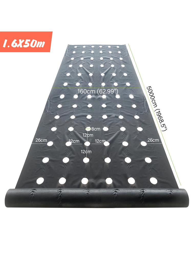 Degradable Weed Barrier Fabric with 8cm Holes