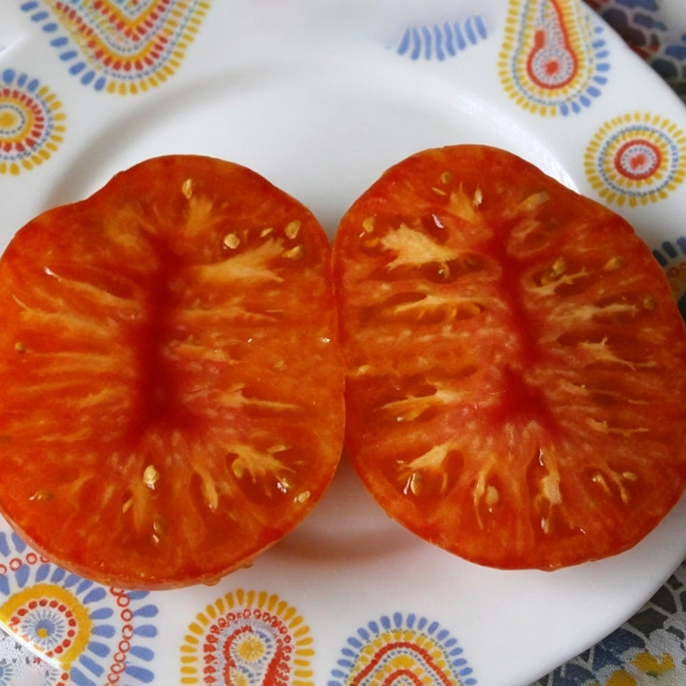 591 Dwarf DSA Tomato