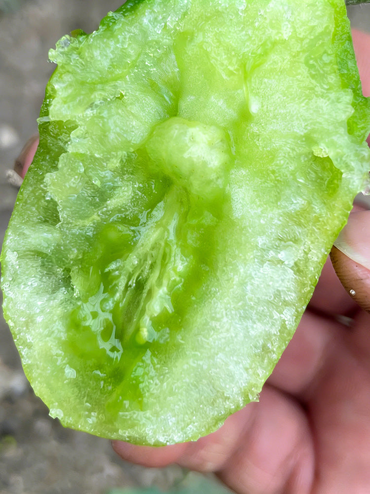 Kiwi Tomato