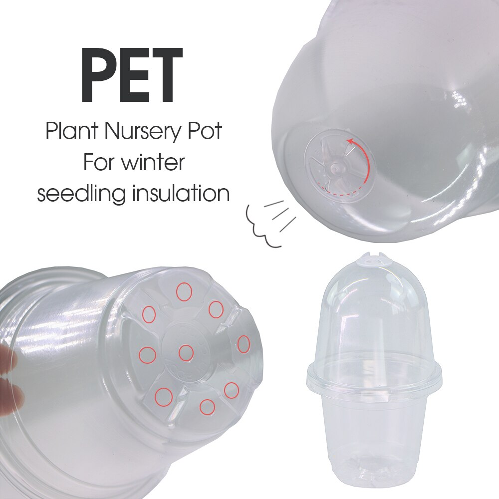 160x90MM Transparent PET Seed Stater Cups with Cover Humidity Dome