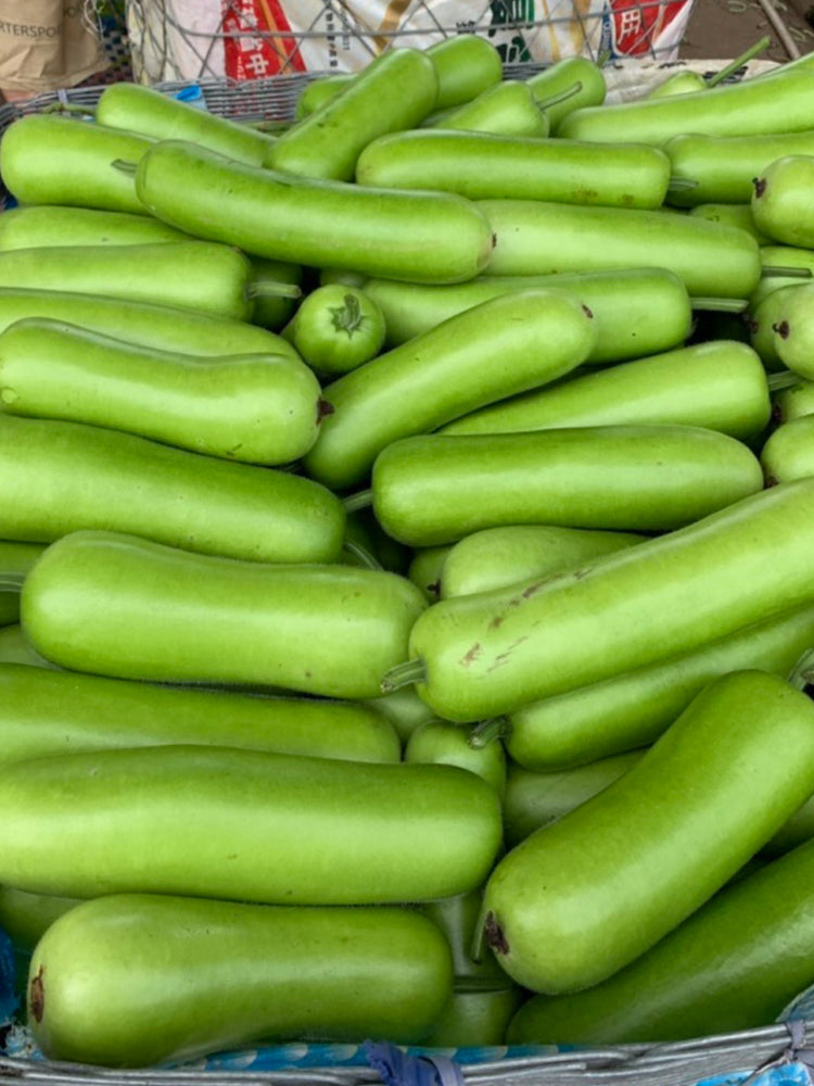Guangpu 1701 Bottle Gourd