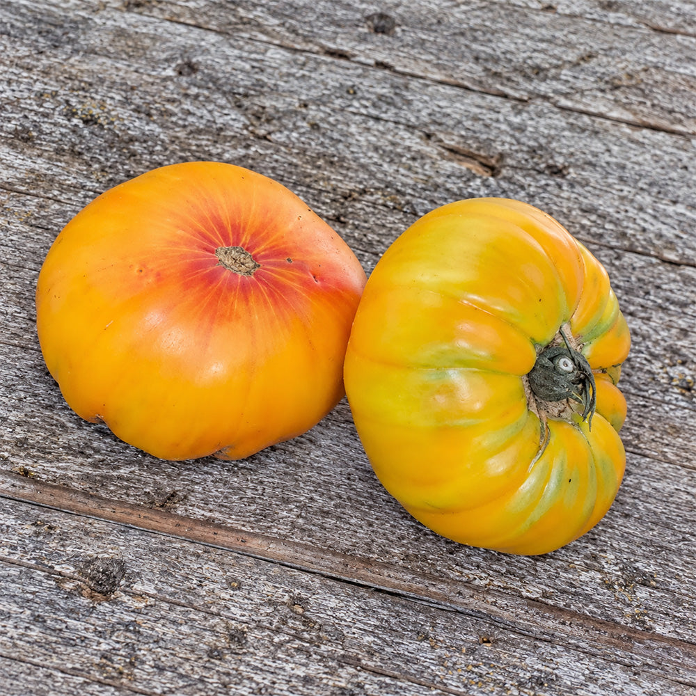 185 Tuxhorn's Red and Yellow Tomato