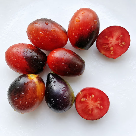 219 Pear-Shaped Indigo Rose Tomato
