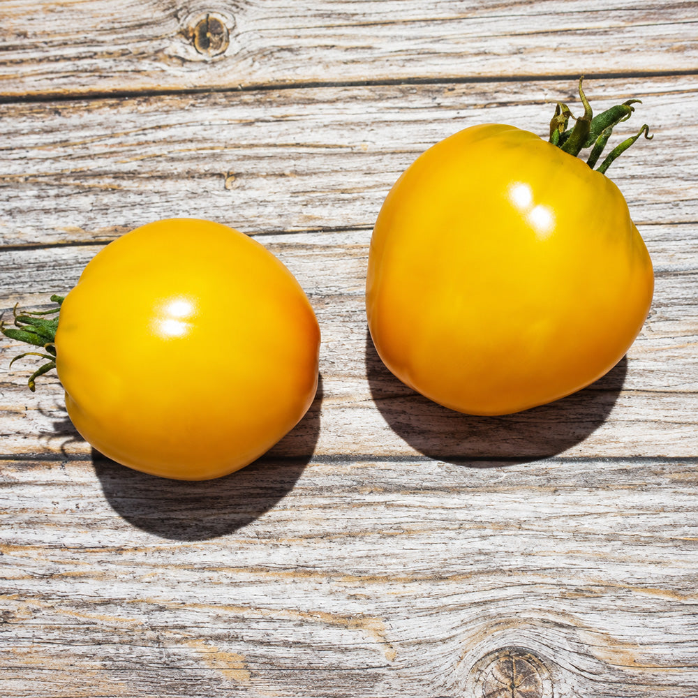 35 Yellow Heart Tomato