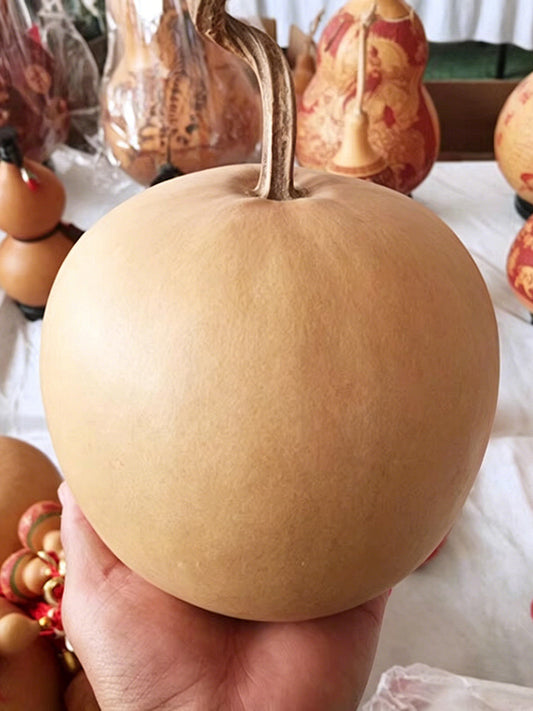 Big Apple Gourd