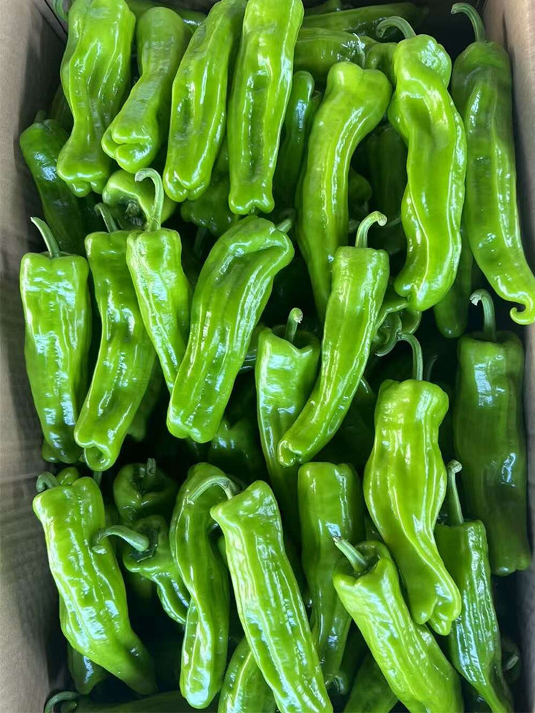 Crisp Thin-Skinned Chilis