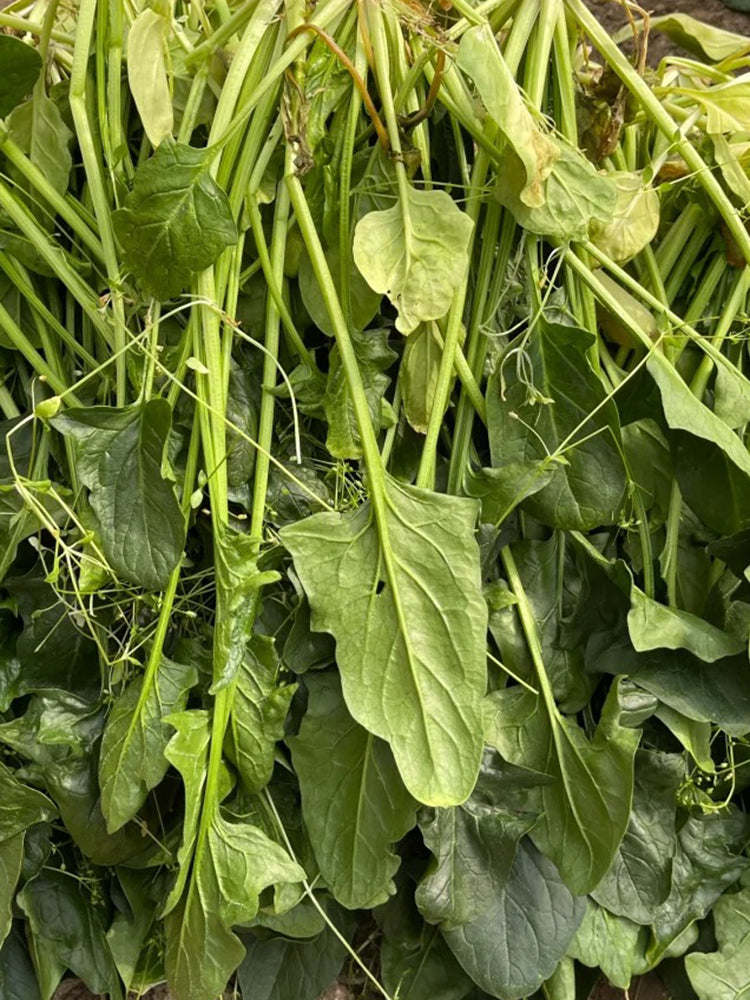 Golden Autumn Spinach