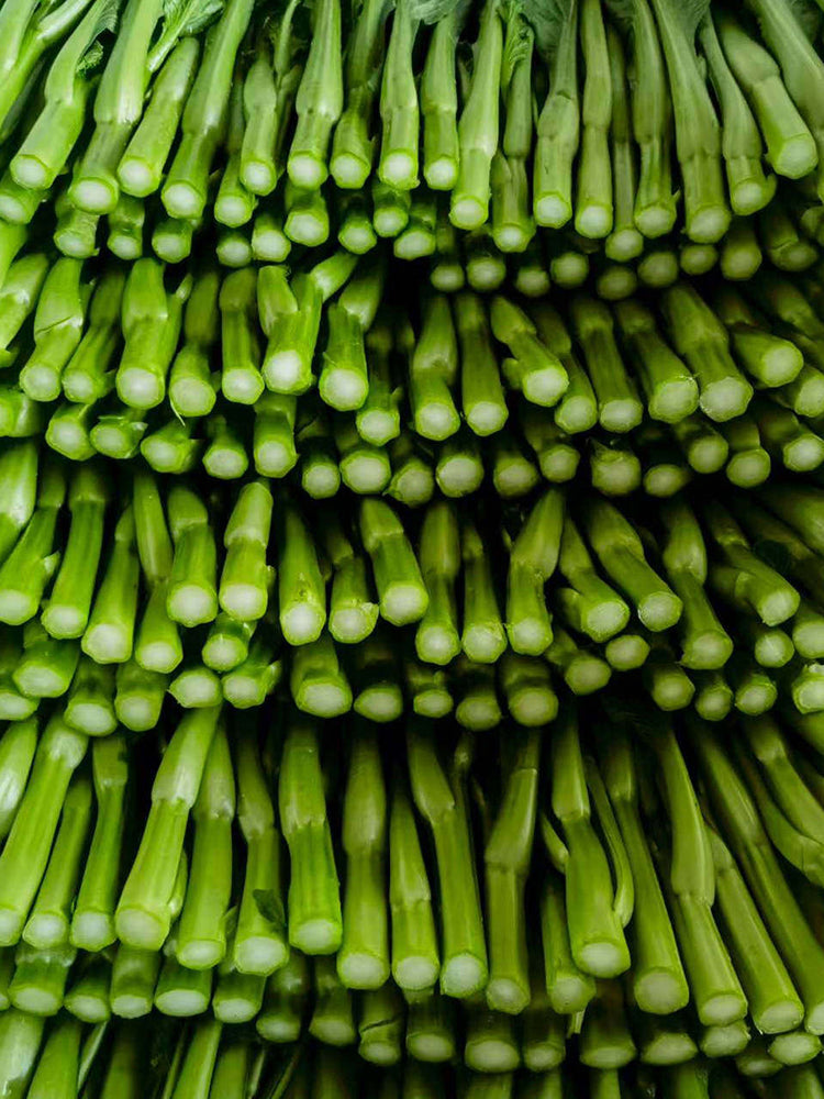 Ningxia Fiberless 110-day Choy Sum