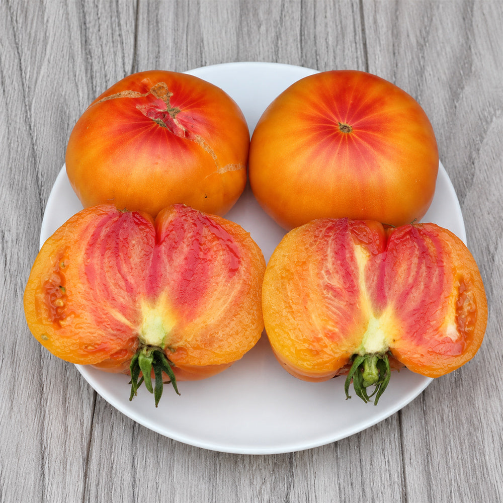 18 Marcy's Mystery Tomato