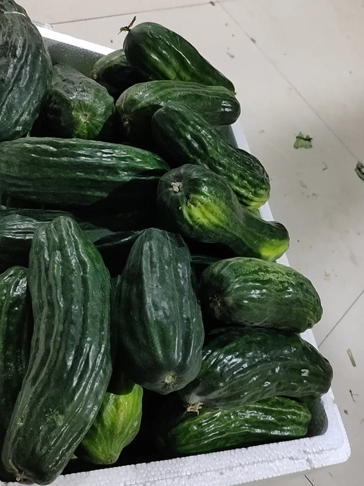 Black Ribbed Crisp Melon