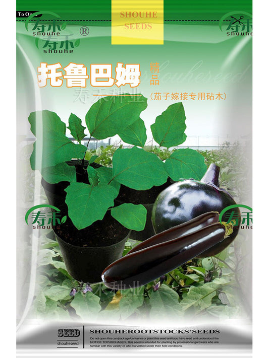 YQ1130 Japan Eggplant Rootstock Seeds