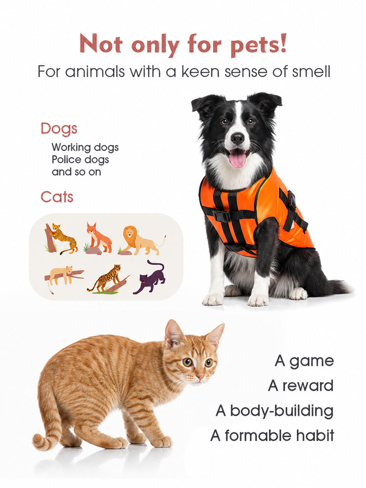 N179 Pet Snuffle Mat