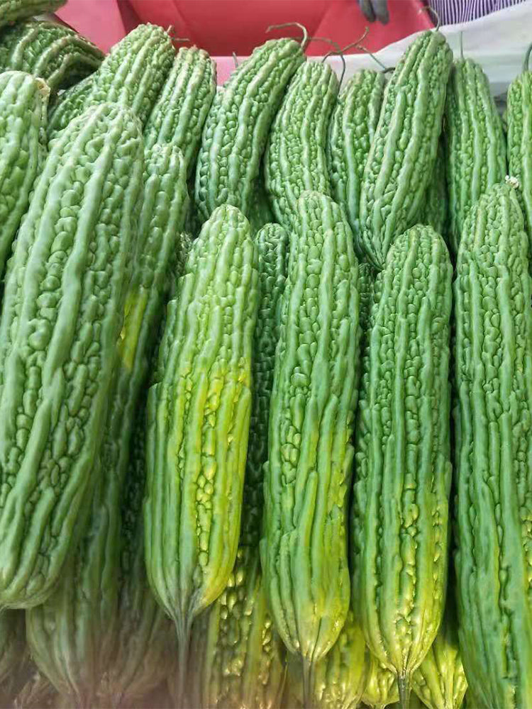 'Lvjinlong' Bitter Melon