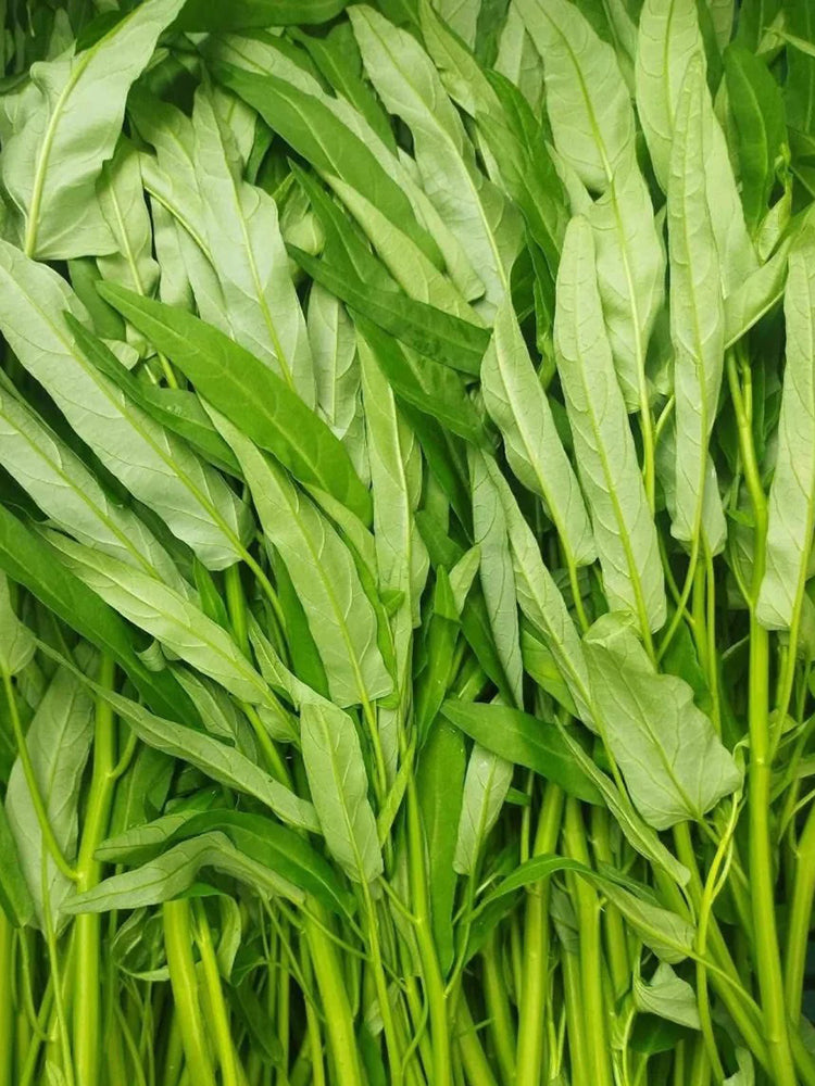 Bamboo Leaf Water Spinach