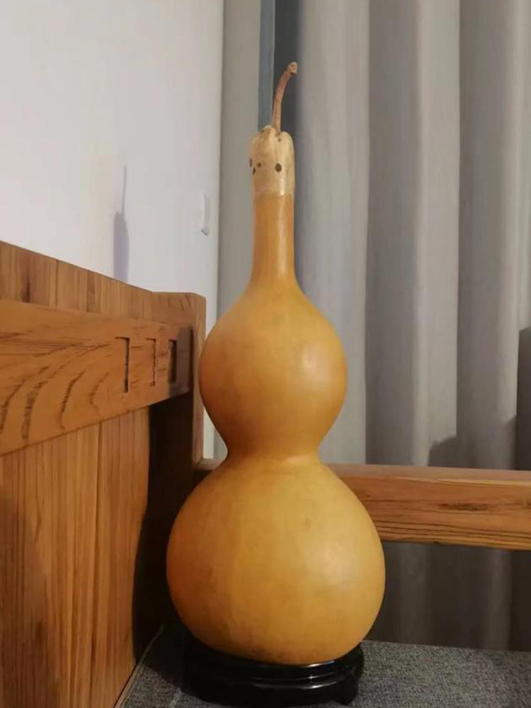 Extra Large Waist Gourd