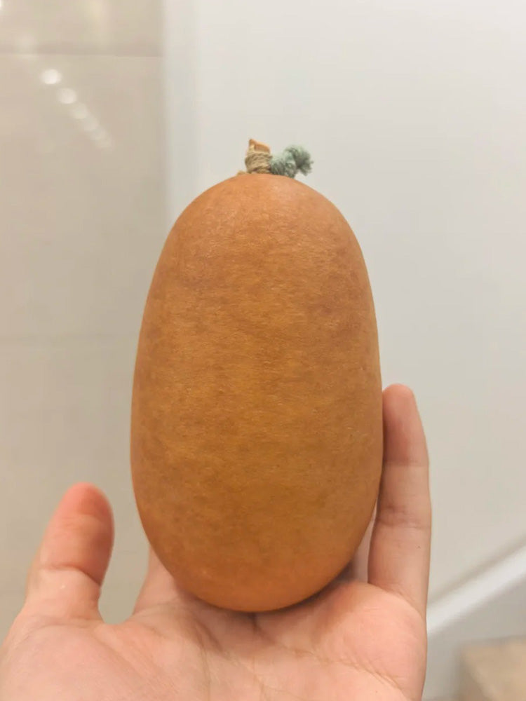 'Little Winter Melon' Gourd