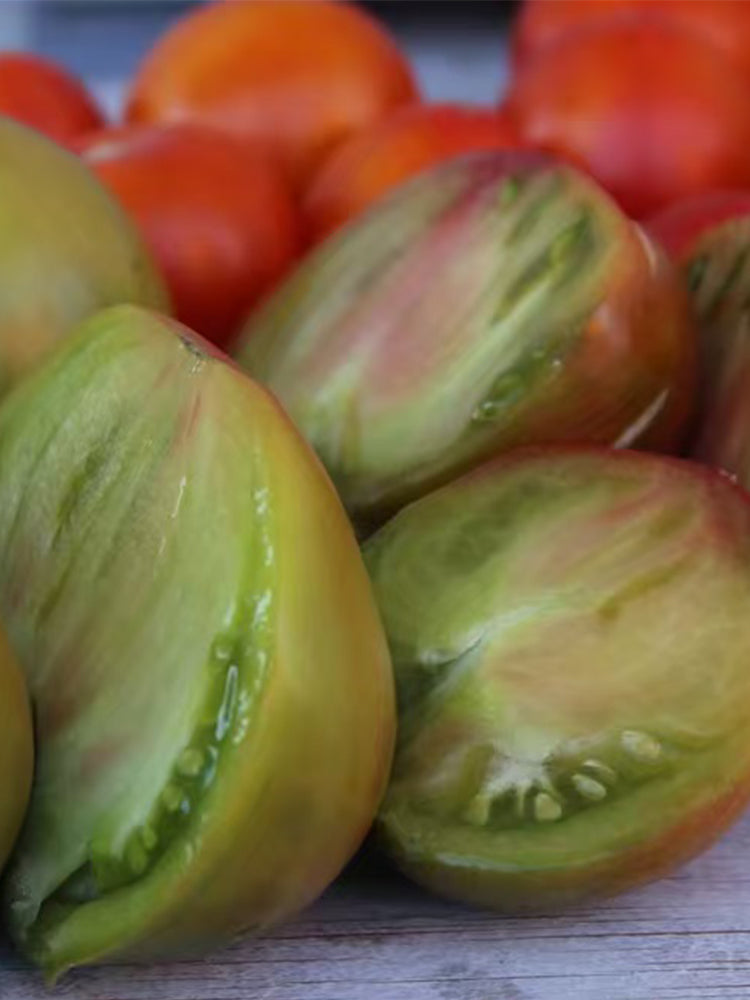 915 Moldovan Fairy Tale Tomato