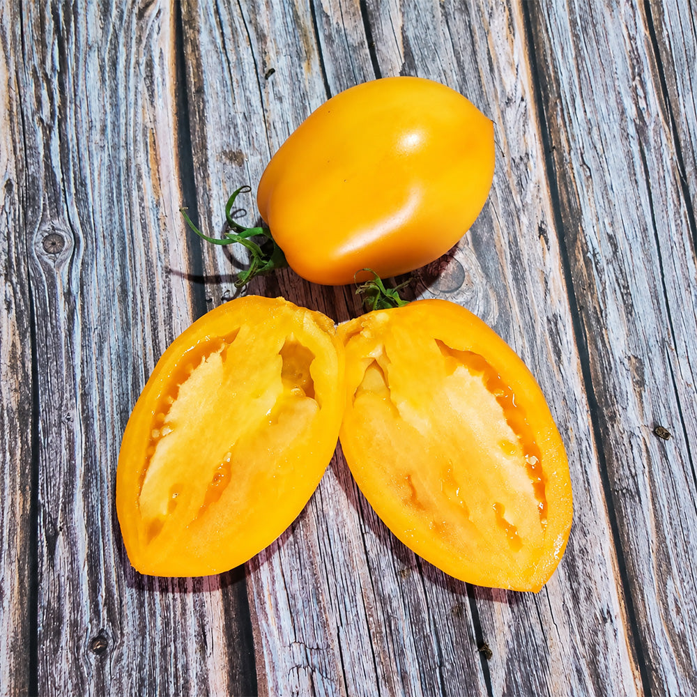 184 Malominusinsky Orange Tomato