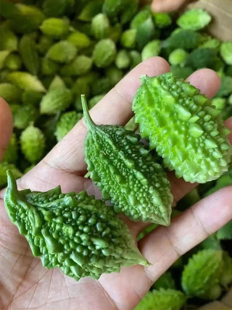 'Hei Wawa' Small Spiny Black Bitter Melon