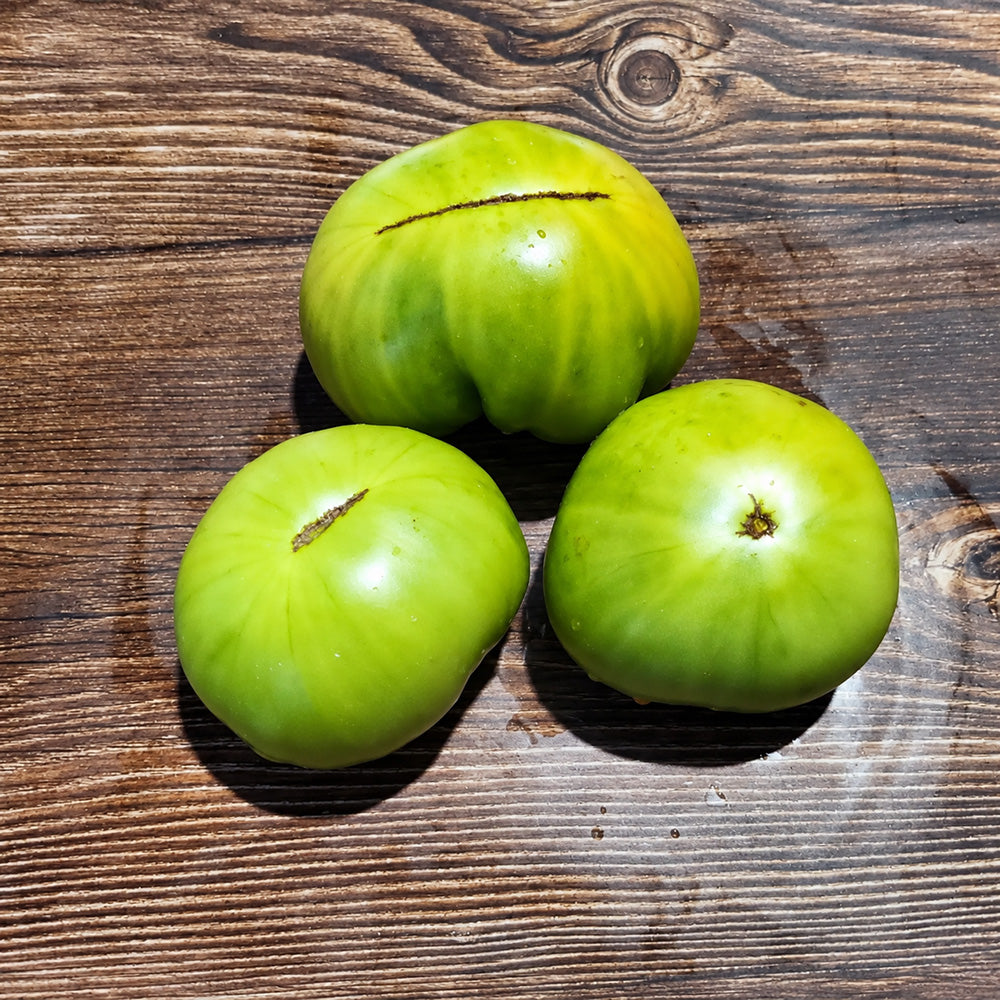 195 Delano Dwarf Tomato