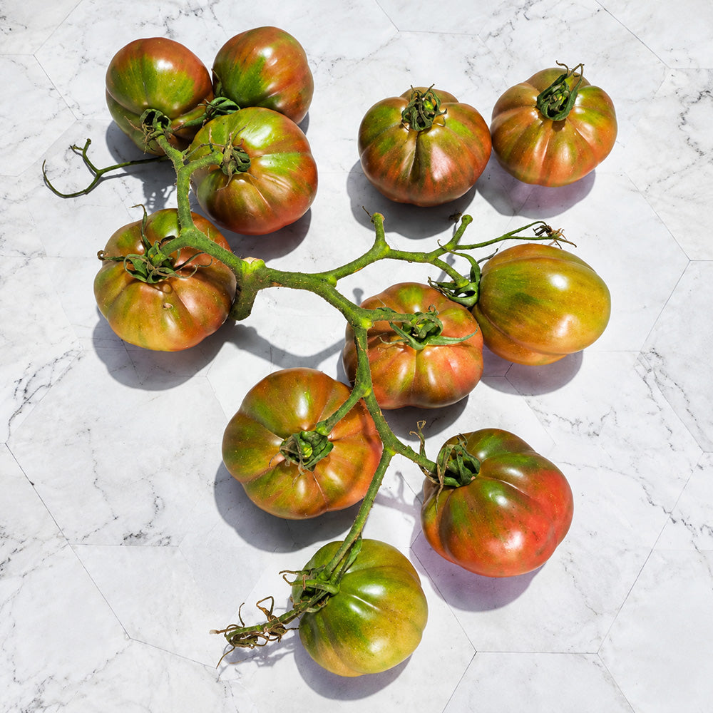 106 Etoile Chocolate Tomato