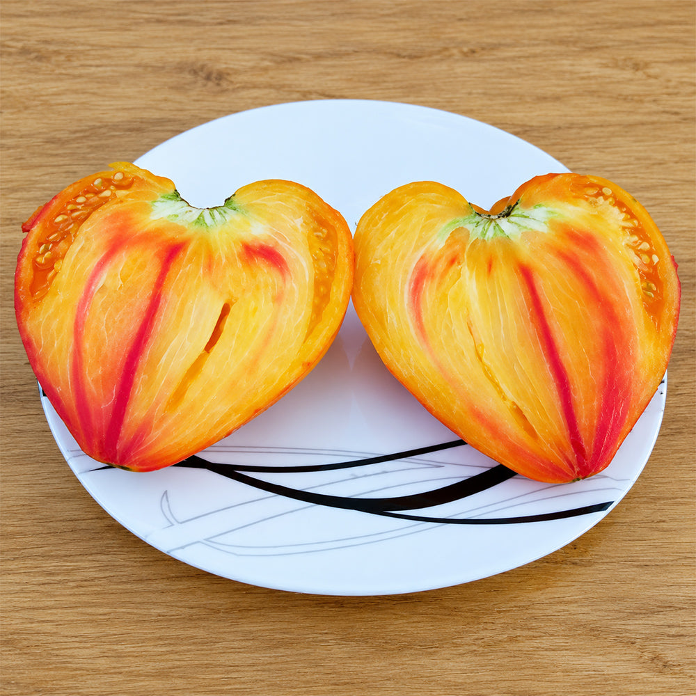 318 Fred Heirloom Tomato