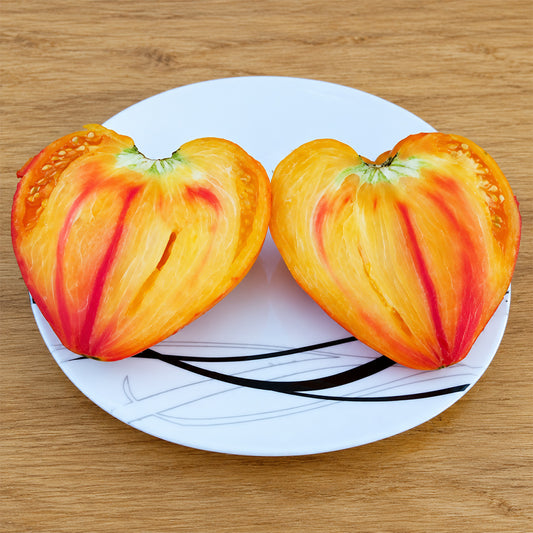 318 Fred Heirloom Tomato