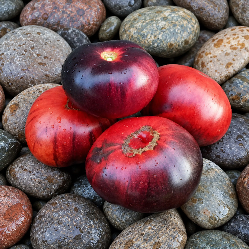 335 Dark Slice Tomato