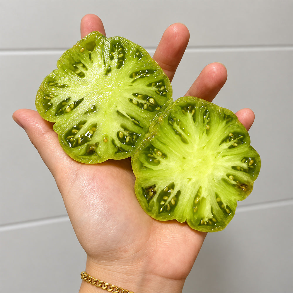 480 Jackass Green Dwarf Tomato