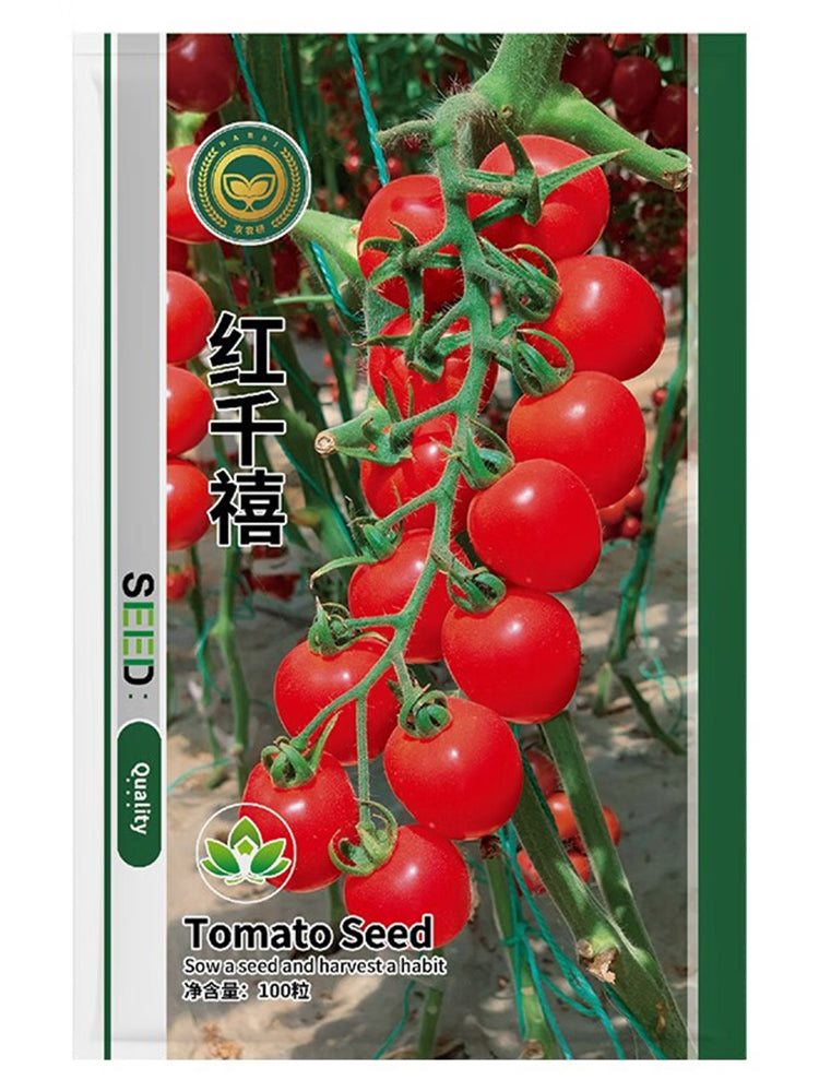 'Red Millennium' Cherry Tomatoes