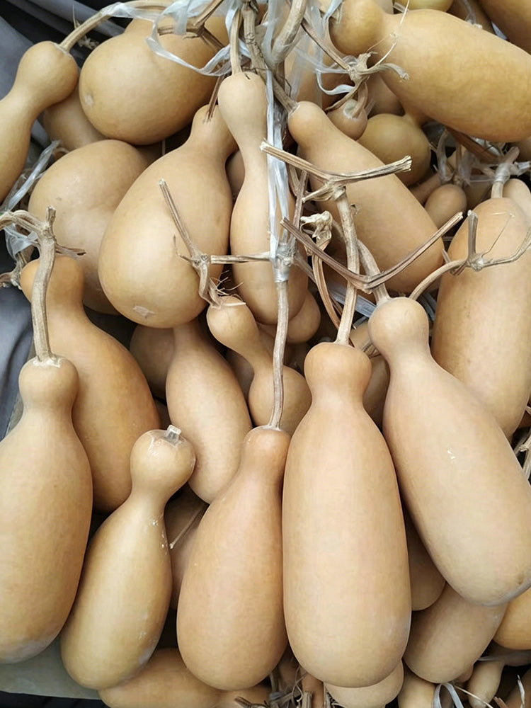 Flower Bottle Gourd