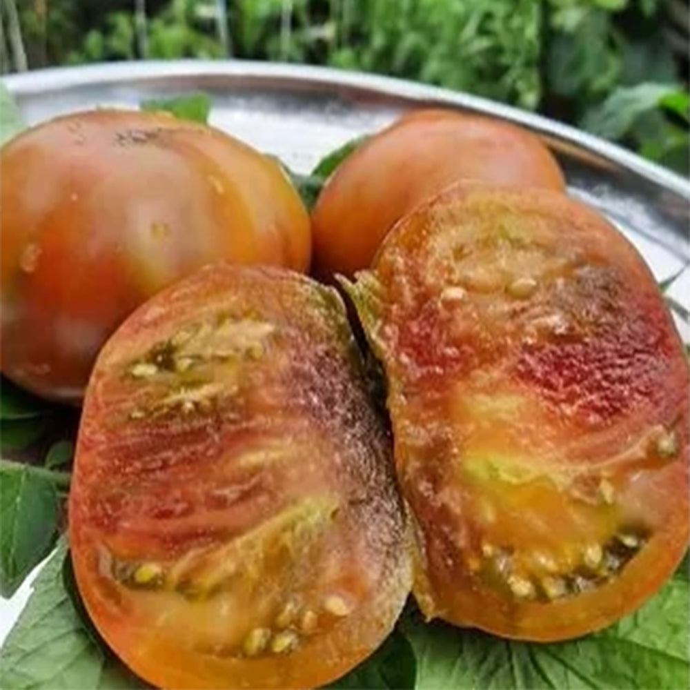 724 Purple Ambrosia Tomato