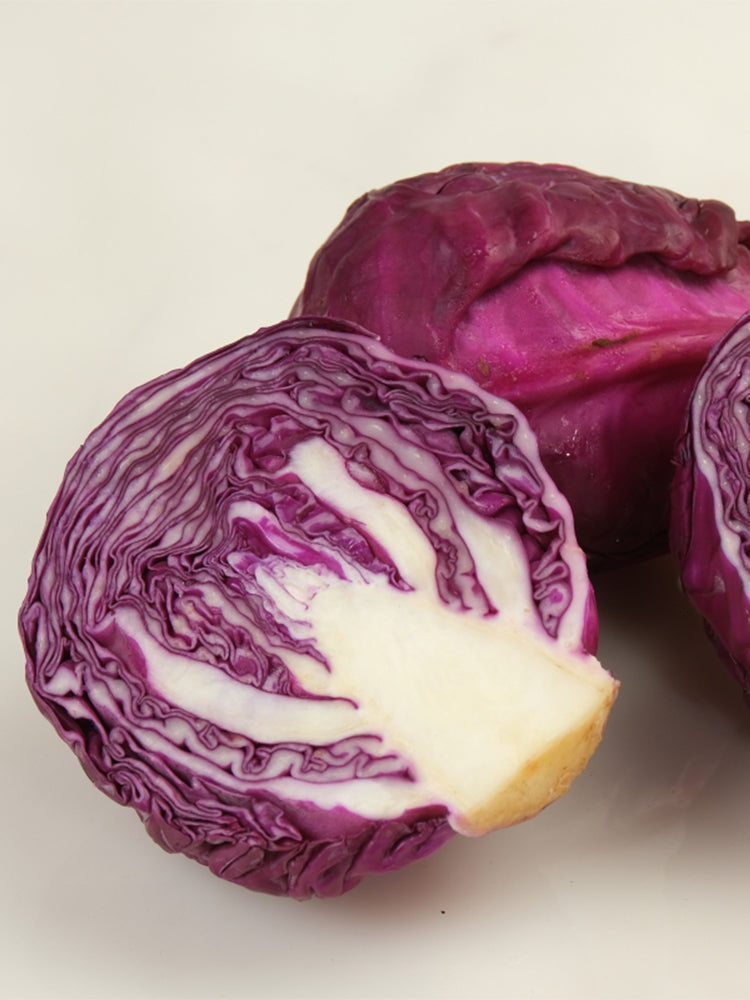 'Purple Crystal' Cabbage