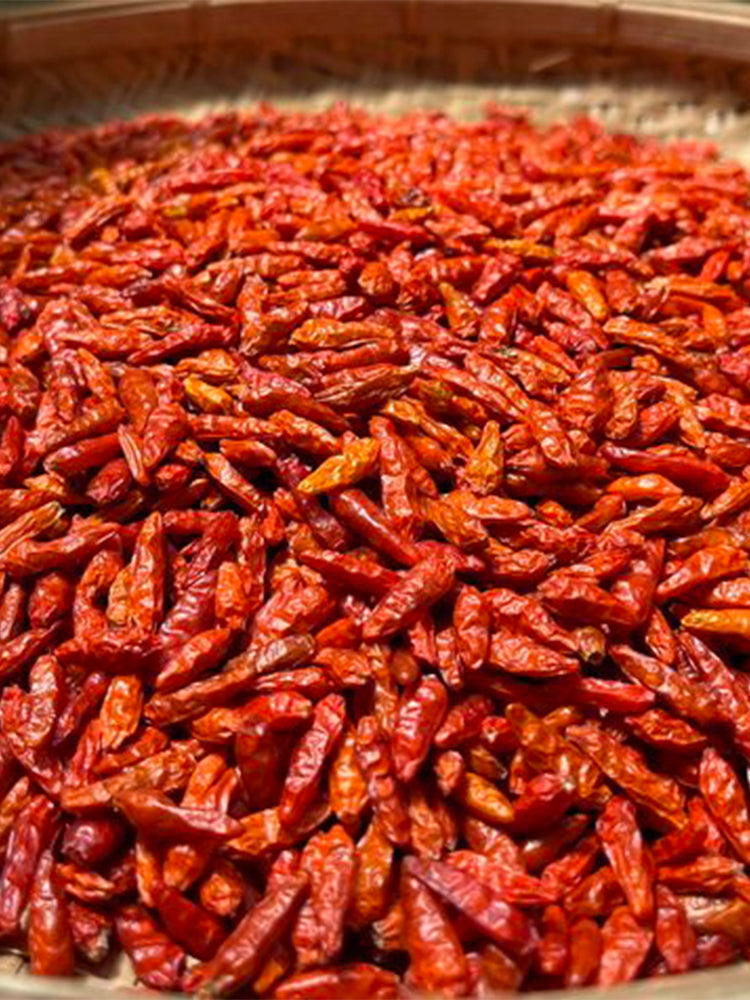 Bird's Eye Chili